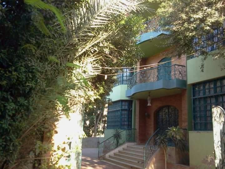 Richard Pyramids Inn Hotel Kafrat al Jabal Ngoại thất bức ảnh